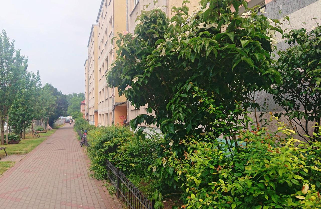 Apartament Navigare Apartment *